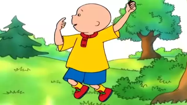 Le succès et l'échec de Caillou | Caillou en Français