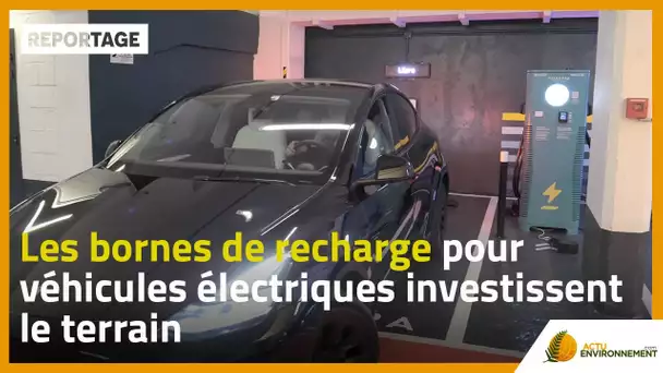 Les bornes de recharge pour véhicules électriques investissent le terrain