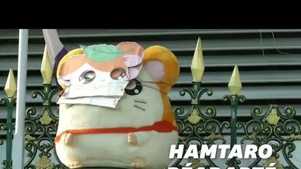 En Thaïlande, le manga Hamtaro devient le symbole des manifestants