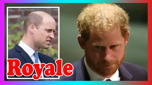 William réfléchit à « quoi faire à pr0pos de Harry » alors que Duke enfreint la règle de Queen