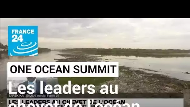 One Ocean Summit : les leaders au chevet de l'océan • FRANCE 24
