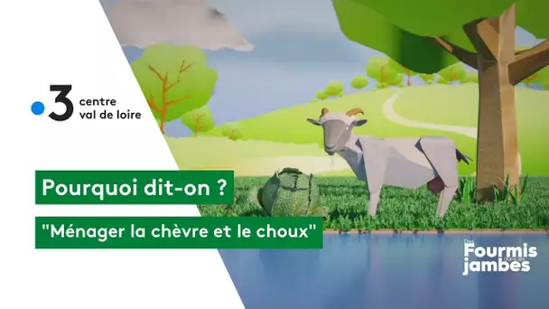 Pourquoi dit-on : ménager la chèvre et le chou !