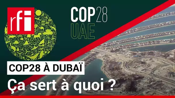 La COP28 à Dubaï, ça sert à quoi ? • RFI