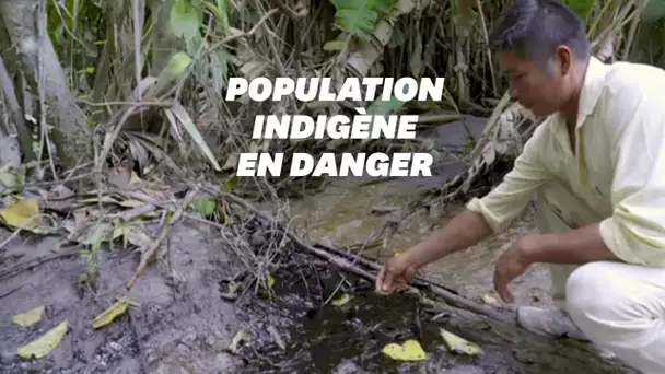 Une marée noire oblige ces indigènes d'Amazonie à sortir du confinement