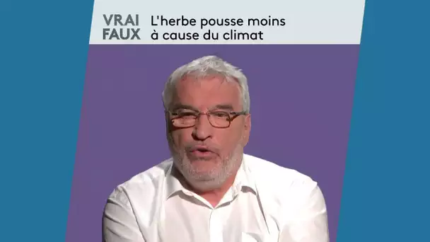 Vrai ou faux : l’herbe pousse moins à cause du climat