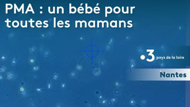 PMA pour toutes les femmes : un bébé pour toutes les mamans au CHU de Nantes