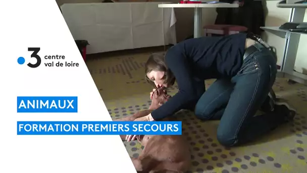 Tours : Formation de premiers secours pour nos animaux