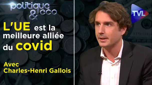 Frexit contre l'Etat profond de l'UE - Politique & Eco n°289 avec Charles-Henri Gallois - TVL