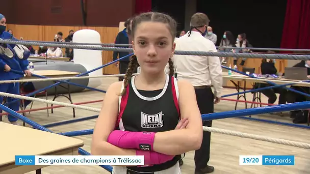 Boxe : des graines de champion à Trélissac
