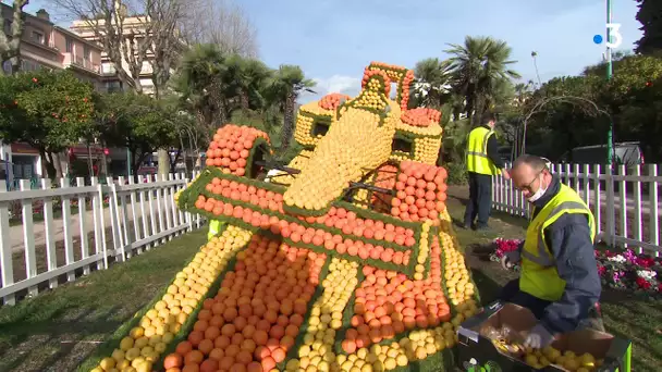 Menton, pas de Fête du citron mais des structures fruitées installées dans la ville