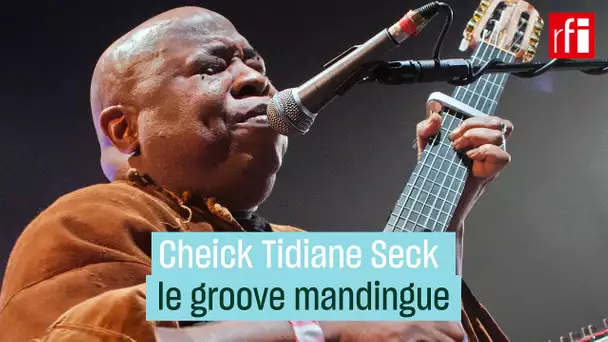 Cheick Tidiane Seck, le groove mandingue • RFI