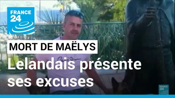 France : Lelandais reconnaît avoir tué Maëlys et "présente ses excuses" • FRANCE 24
