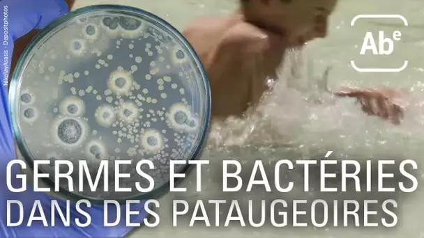 Des germes et des bactéries dans les pataugeoires