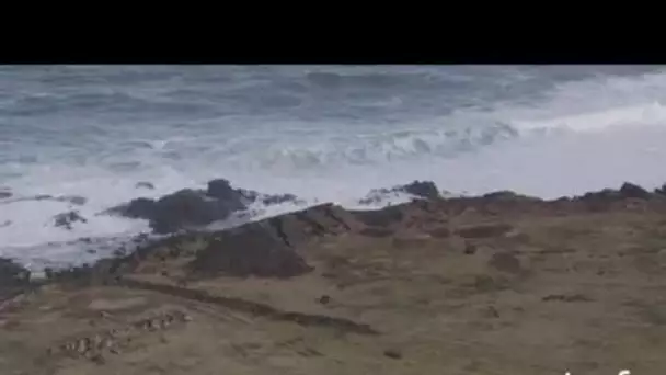 Chili, Île de Pâques : vestiges de moaï