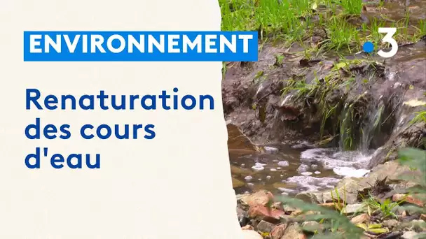 Renaturation du cours d'eau à Prinquiau