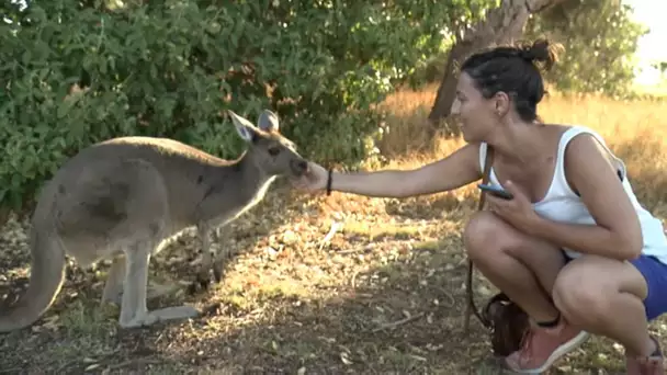 Perth, le paradis des Français à l'étranger