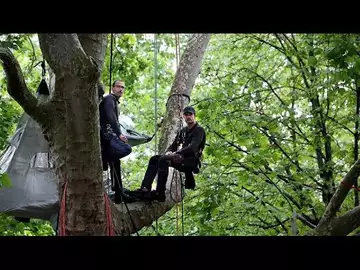 A Paris, un homme en grève de la faim pour la défense des arbres