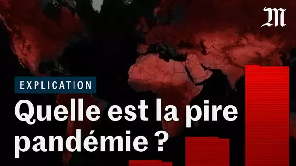 Covid-19, sida, paludisme : quelle a été la plus grande pandémie de 2020 ?