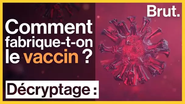 Covid-19 : comment fabrique-t-on le vaccin ?