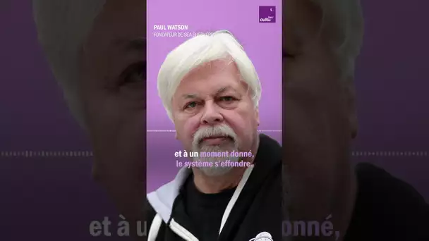 💬 "On a besoin des animaux, mais eux n'ont pas besoin de nous", explique l'écologiste Paul Watson