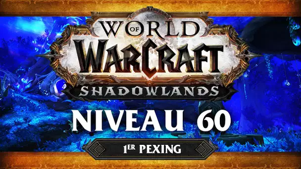 WoW Shadowlands #9 : NIVEAU 60 ! (ft. Lapi, Gius, Kenny et Flora)
