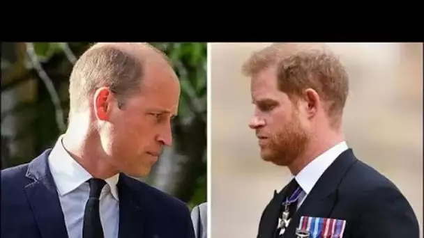 La réponse brutale en deux mots du prince Harry lorsqu'il a rejeté une réunion de paix avec le princ