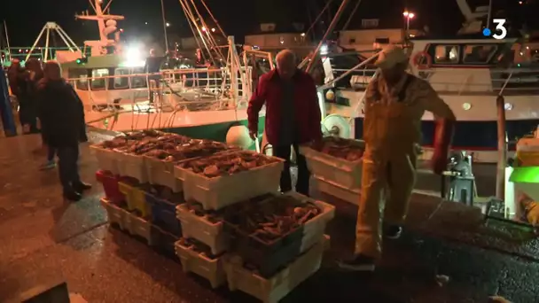 La campagne des coquilles de Baie de Seine 2019 : une des meilleures depuis 30 ans