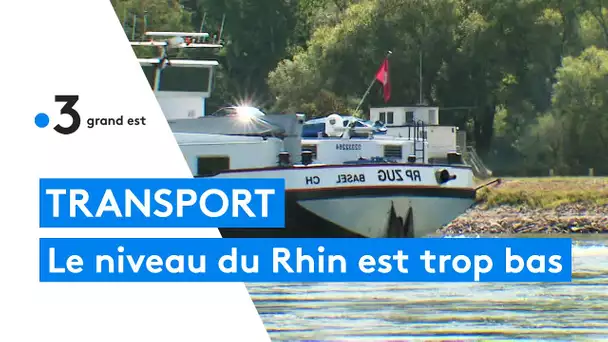 Sécheresse : les péniches sont à quelques centimètres de toucher le fond du Rhin