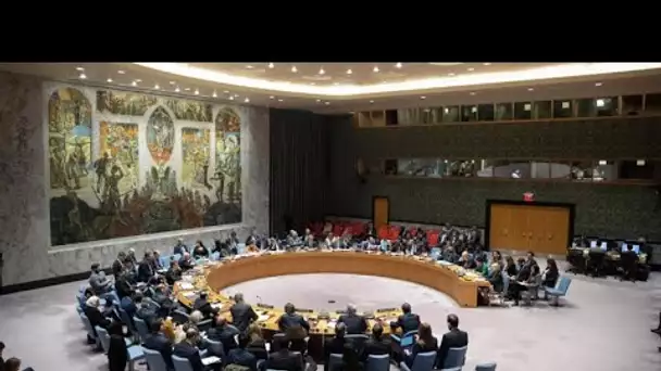 Séance du Conseil de sécurité de l’ONU consacrée au conflit en Ukraine