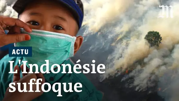 Indonésie : un nuage de fumée toxique lié aux feux de forêts
