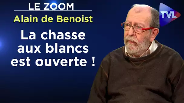 Identité : métisser des races qui n'existent pas ? - Le Zoom - Alain de Benoist - TVL