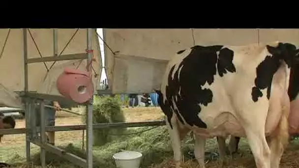 Fête de l&#039;agriculture à Saint Laurent de Chamousset (Rhône)