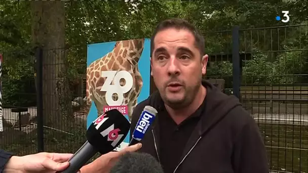 La panthère d'Armentières a été volée cette nuit au zoo de Maubeuge : interview du directeur
