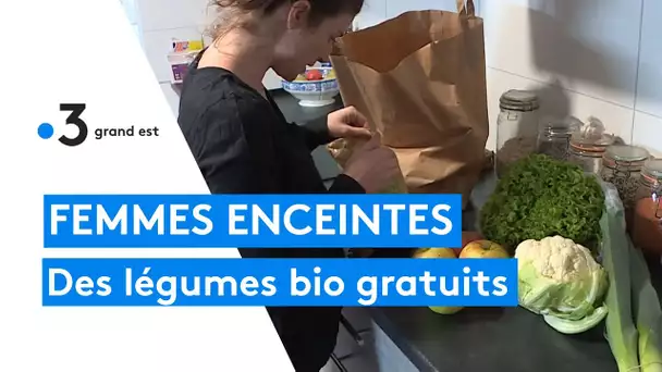 Strasbourg : des paniers de légumes bio distribués aux femmes enceintes gratuitement
