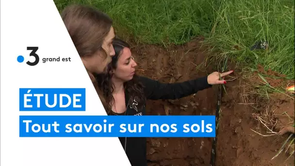 Environnement : la pédologie étudie la formation et l'évolution des sols