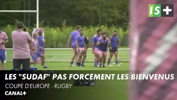 Les "Sudaf" pas forcément les bienvenus - Coupe d'Europe de Rugby