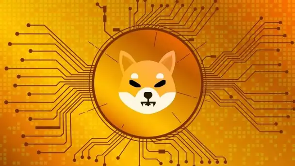 Le Shiba Inu se rend dans le métavers