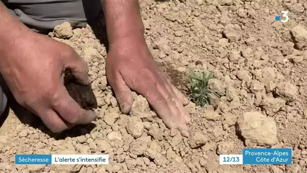 Sécheresse : l'alerte s'intensifie avec le manque de pluie