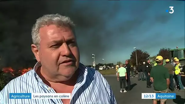 Lot-et-Garonne : les agriculteurs en colère organisent des blocages sur l'A62