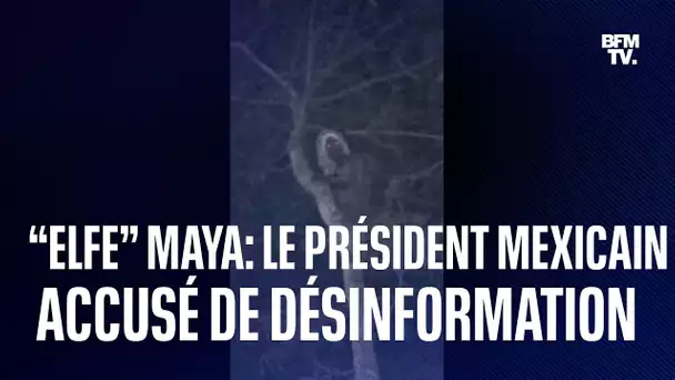 Le président mexicain a publié une photo de ce qu’il prétend être un “elfe” maya
