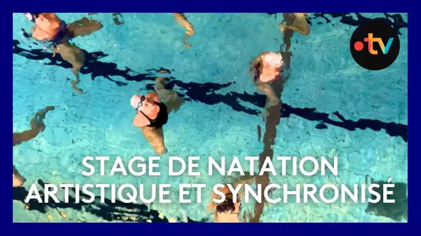 Stage de natation artisite et synchronisé
