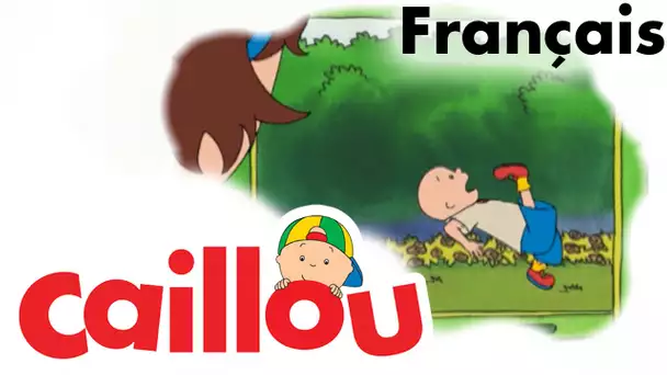 Caillou FRANÇAIS - Caillou joue au ballon  (S01E61) | conte pour enfant | Caillou en Français