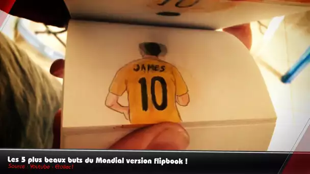 Robben, Rodriguez, Van Persie... Les 5 plus beaux buts du Mondial version flipbook !