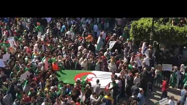 Les manifestants restent déterminés en Algérie