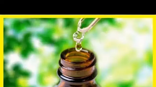 L’huile essentielle d’origan : Des propriétés médicinales incroyables une application Magique !