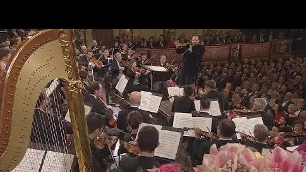 Le Philharmonique de Vienne, orchestre unique par excellence