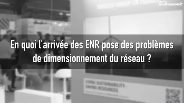 « Nos réseaux, très contraints, ne peuvent pas accueillir naturellement toute la production ENR »