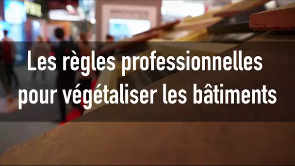 Toitures végétalisées : « Nos réalisations sont pérennes et les techniques évoluent »