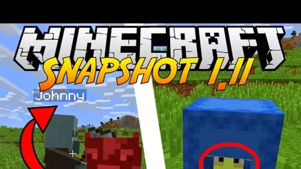 10 SECRETS SUR MINECRAFT 1.11 - EPIC EASTER EGG ET WTF !