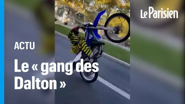 Rodéos urbains: A Lyon, le gang des Dalton à moto défie la police